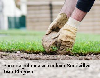 Pose de pelouse en rouleau soudeilles-19300 Jean Elagueur