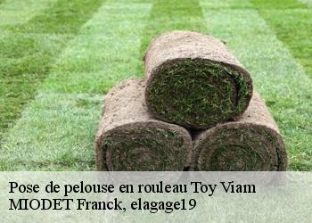 Pose de pelouse en rouleau  toy-viam-19170 MIODET Franck, elagage19