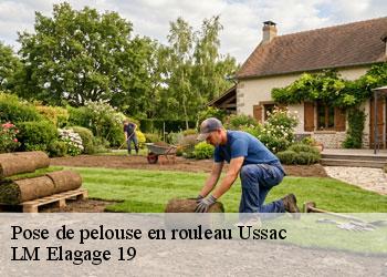 Pose de pelouse en rouleau 19270