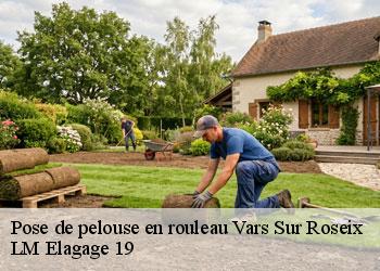 Pose de pelouse en rouleau 19130