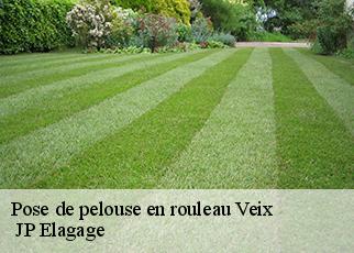 Pose de pelouse en rouleau veix-19260 JP Elagage