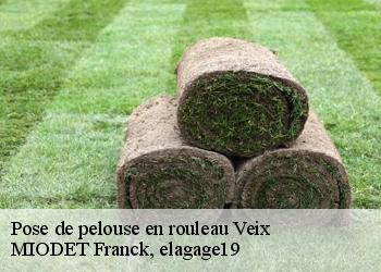 Pose de pelouse en rouleau  veix-19260 MIODET Franck, elagage19