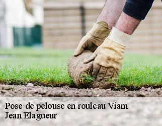 Pose de pelouse en rouleau viam-19170 Jean Elagueur