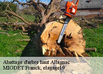 Abattage d'arbre haut  albignac-19190 MIODET Franck, elagage19