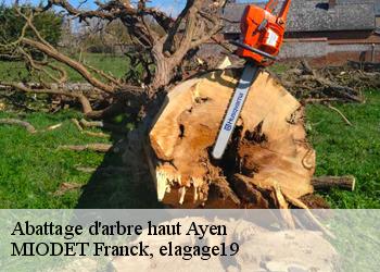 Abattage d'arbre haut  ayen-19310 MIODET Franck, elagage19