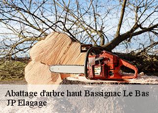 Abattage d'arbre haut bassignac-le-bas-19430 JP Elagage