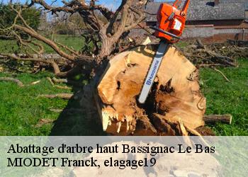 Abattage d'arbre haut  bassignac-le-bas-19430 MIODET Franck, elagage19