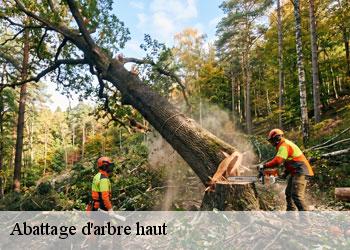 Abattage d'arbre haut 19390