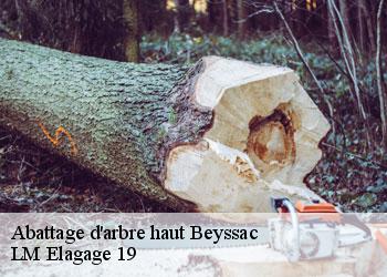 Abattage d'arbre haut  beyssac-19230 LM Elagage 19