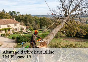 Abattage d'arbre haut 19120