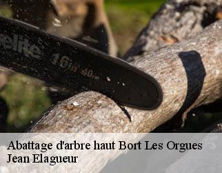 Abattage d'arbre haut bort-les-orgues-19110 Jean Elagueur