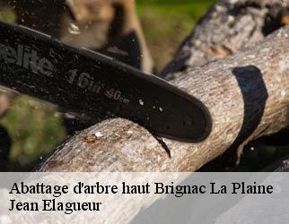 Abattage d'arbre haut brignac-la-plaine-19310 Jean Elagueur