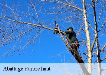 Abattage d'arbre haut