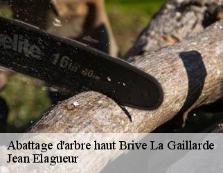 Abattage d'arbre haut brive-la-gaillarde-19100 Jean Elagueur