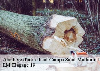Abattage d'arbre haut  camps-saint-mathurin-leobaze-19430 LM Elagage 19