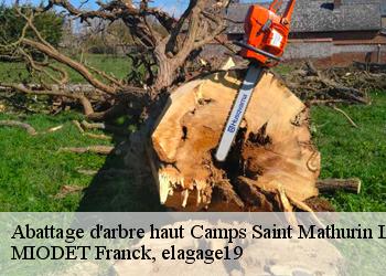 Abattage d'arbre haut  camps-saint-mathurin-leobaze-19430 MIODET Franck, elagage19