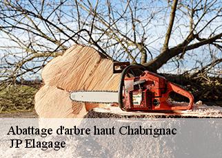 Abattage d'arbre haut chabrignac-19350 JP Elagage