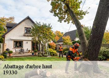 Abattage d'arbre haut  19330