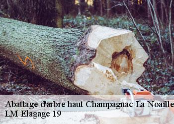 Abattage d'arbre haut champagnac-la-noaille-19320 LM Elagage 19