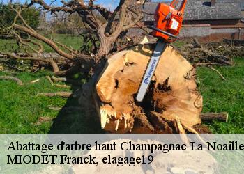 Abattage d'arbre haut  champagnac-la-noaille-19320 MIODET Franck, elagage19