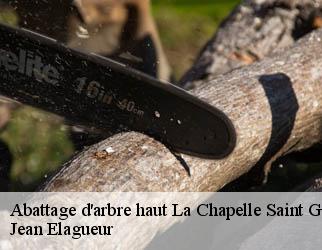 Abattage d'arbre haut la-chapelle-saint-geraud-19430 Jean Elagueur