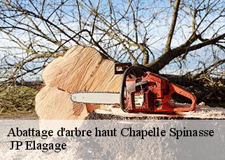 Abattage d'arbre haut  chapelle-spinasse-19300  JP Elagage