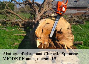Abattage d'arbre haut  chapelle-spinasse-19300 MIODET Franck, elagage19
