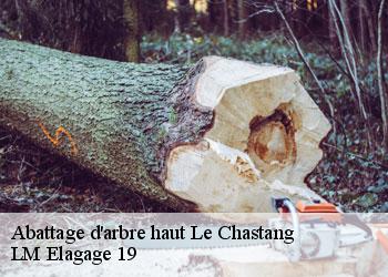 Abattage d'arbre haut le-chastang-19190 LM Elagage 19