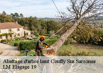 Abattage d'arbre haut  19340