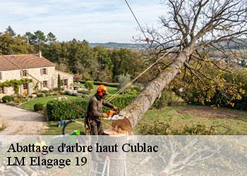 Abattage d'arbre haut 19520