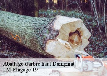 Abattage d'arbre haut dampniat-19360 LM Elagage 19