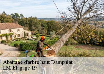 Abattage d'arbre haut 19360