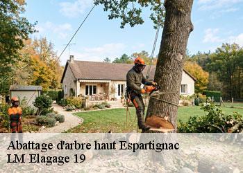 Abattage d'arbre haut 19140