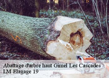 Abattage d'arbre haut gimel-les-cascades-19800 LM Elagage 19