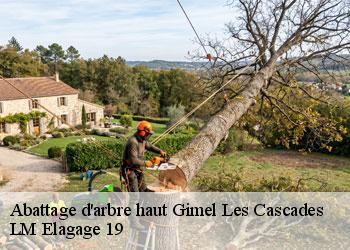 Abattage d'arbre haut 19800