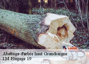 Abattage d'arbre haut grandsaigne-19300 LM Elagage 19