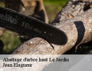 Abattage d'arbre haut  le-jardin-19300 Jean Elagueur