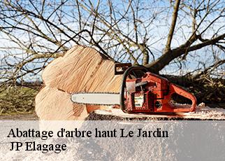 Abattage d'arbre haut le-jardin-19300 JP Elagage
