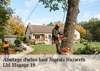 Abattage d'arbre haut 19500