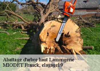Abattage d'arbre haut  lamongerie-19510 MIODET Franck, elagage19