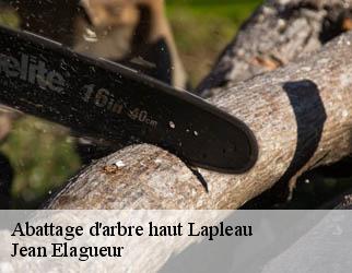 Abattage d'arbre haut lapleau-19550 Jean Elagueur