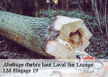 Abattage d'arbre haut laval-sur-luzege-19550 LM Elagage 19