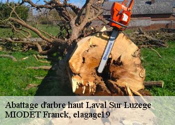 Abattage d'arbre haut  laval-sur-luzege-19550 MIODET Franck, elagage19
