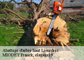 Abattage d'arbre haut  liourdres-19120 MIODET Franck, elagage19