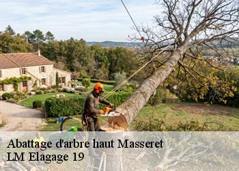 Abattage d'arbre haut 19510