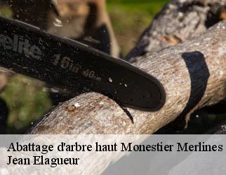 Abattage d'arbre haut monestier-merlines-19340 Jean Elagueur