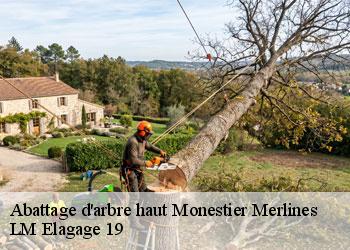Abattage d'arbre haut 19340