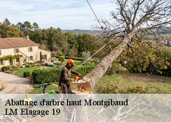 Abattage d'arbre haut 19210