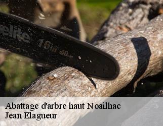 Abattage d'arbre haut noailhac-19500 Jean Elagueur