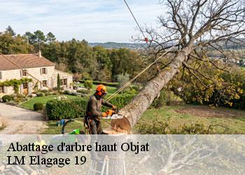 Abattage d'arbre haut 19130